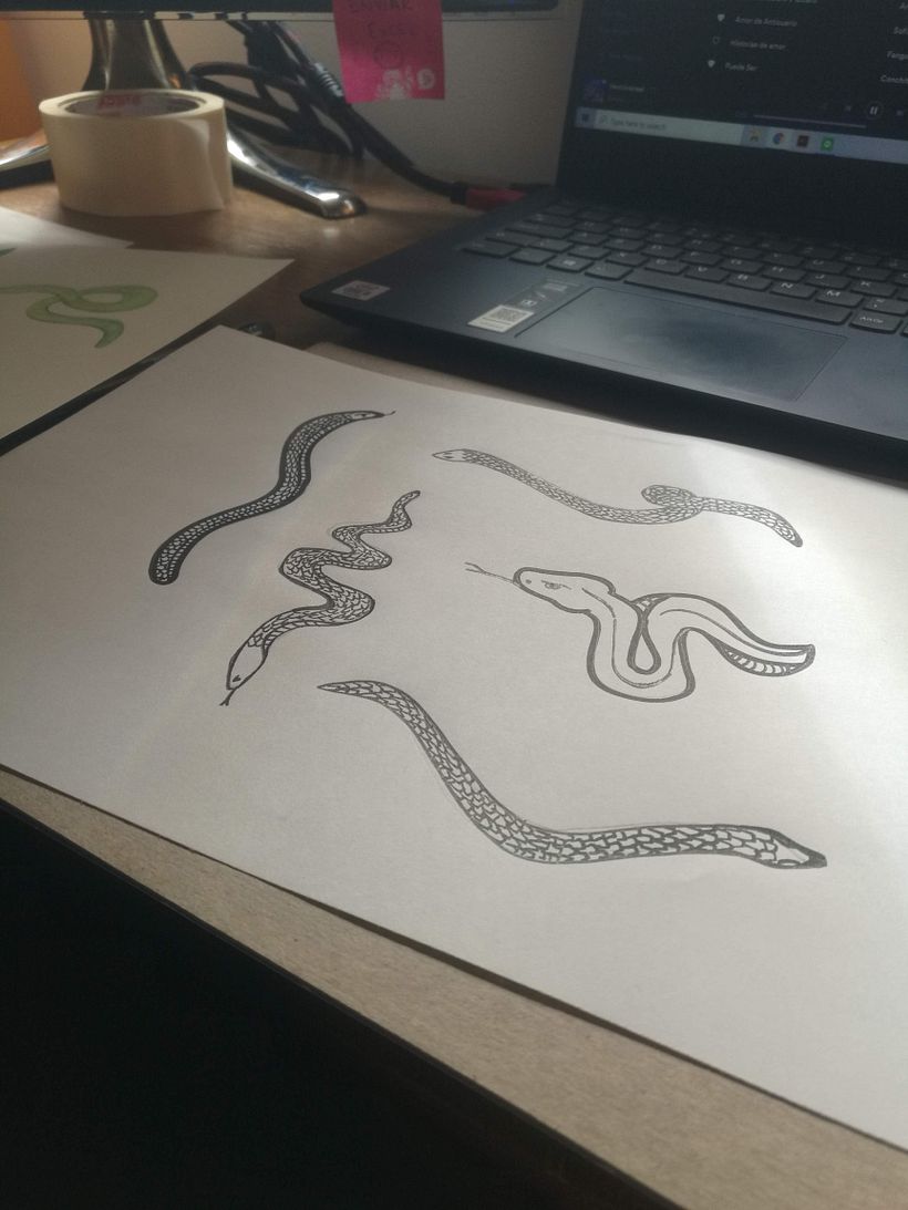 Realizando las ilustraciones