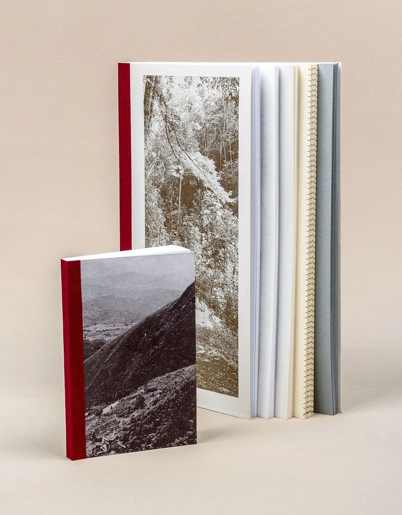 POEMS book 2