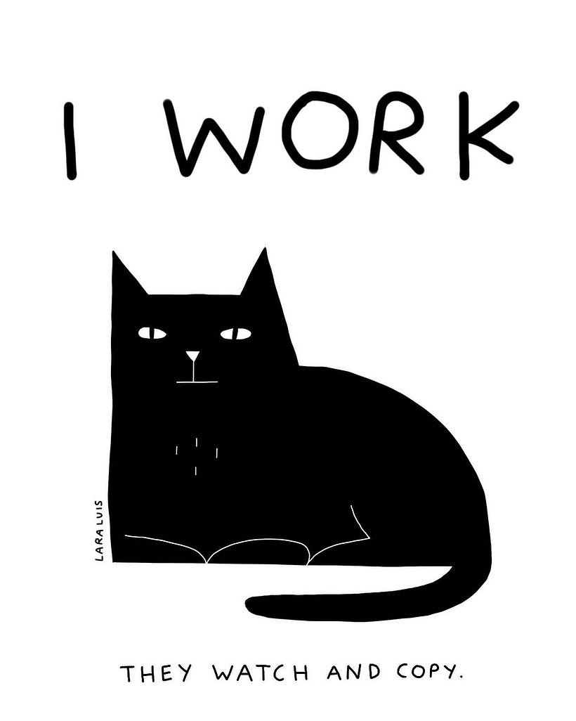 "Yo trabajo. Ellos miran y copian" es el gráfico de la campaña que, ante la indefensión, Lara comenzó online. 