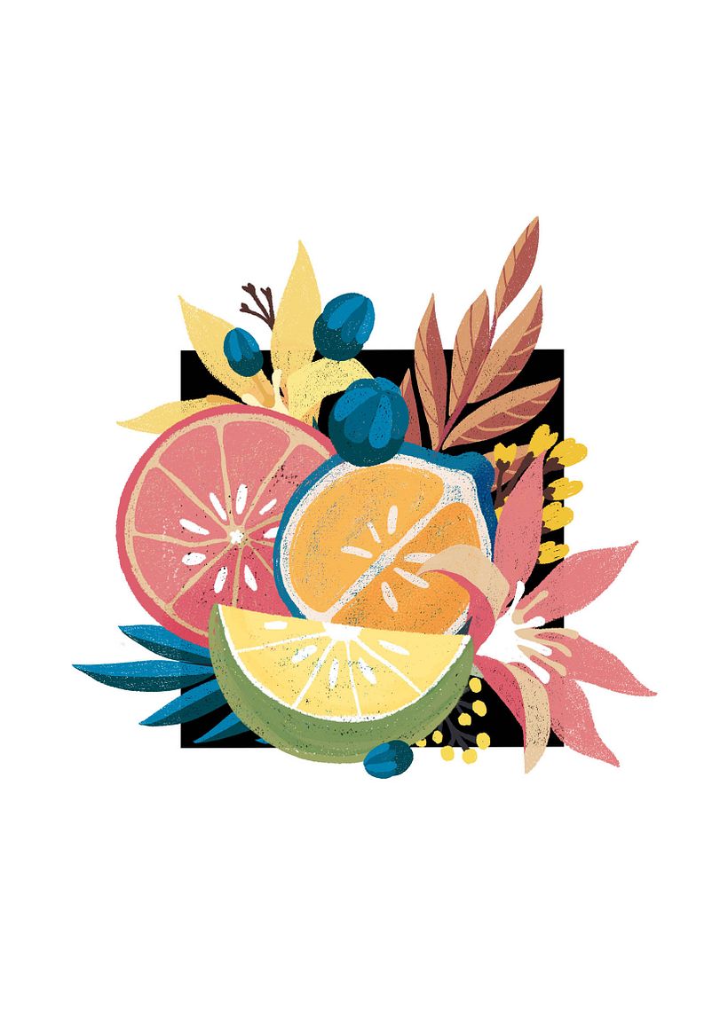 Ilustração derivada 01