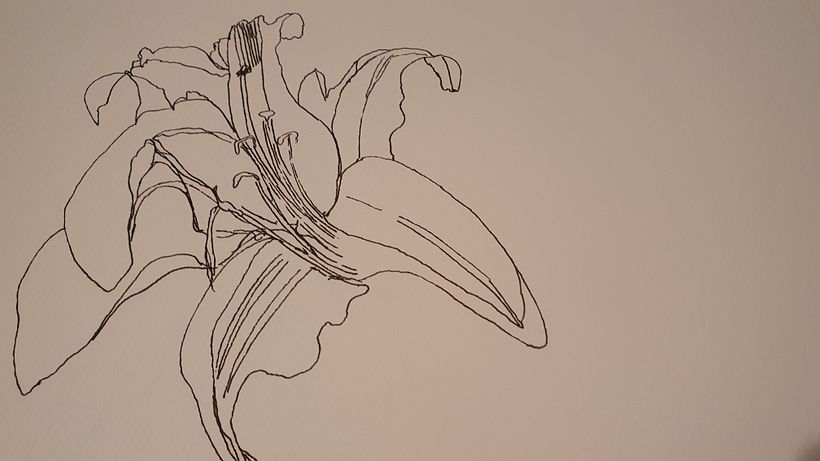 Lillies1