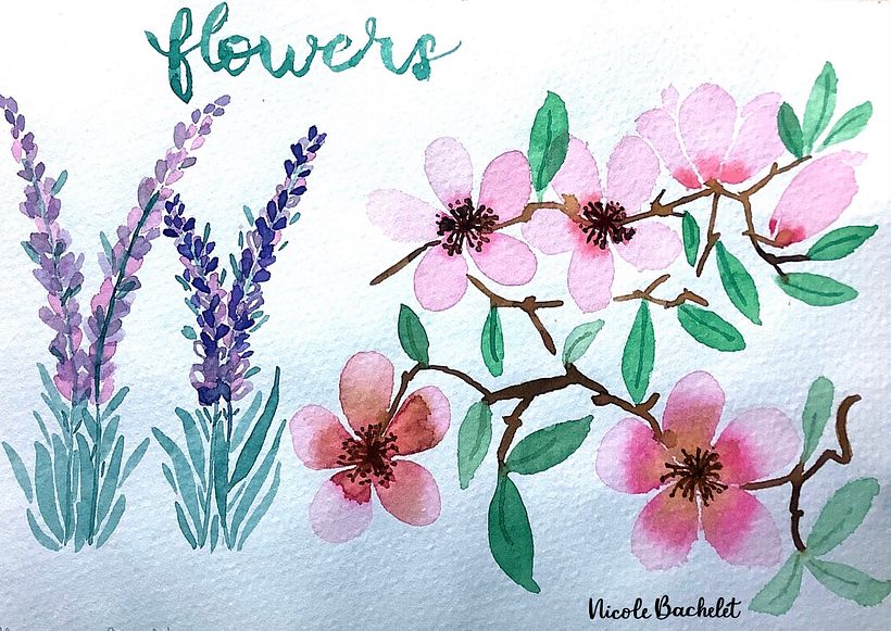 Práctica de fines de 2020