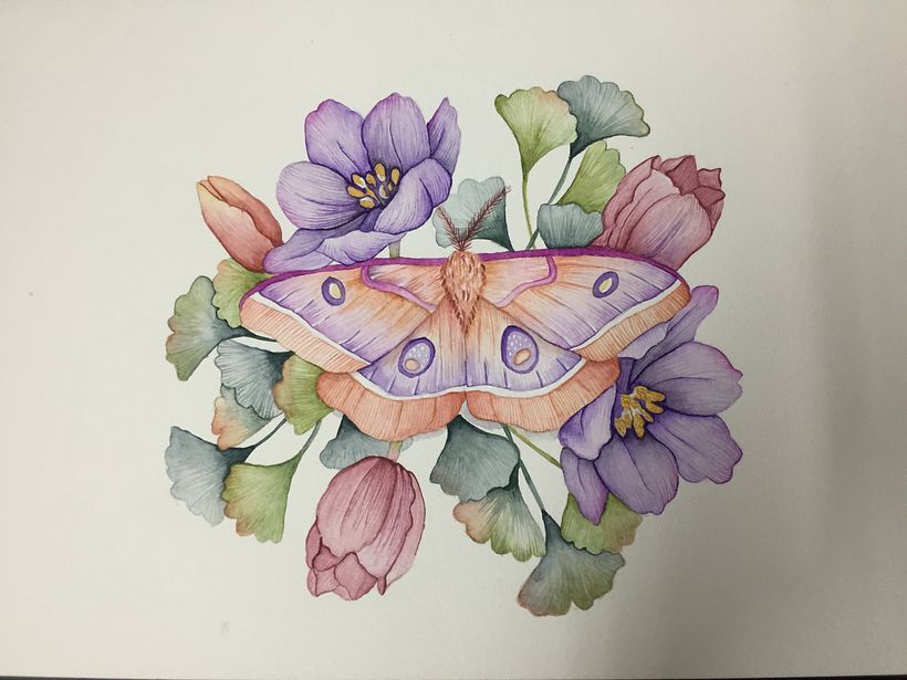 My course project : Drawing and naturalistic composition in watercolor 2