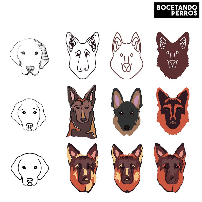 Imagen Pensión Canina 1