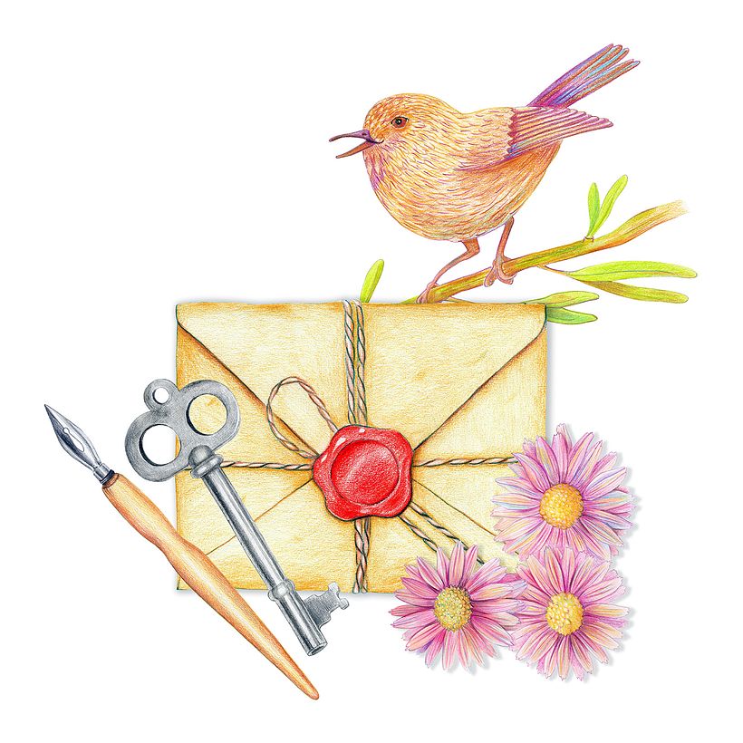 My project in Commercial Illustration with Colored Pencils course 1
