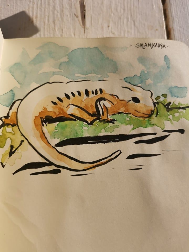 My project in Artistic Watercolor Sketching: Dare to Express Your Ideas course 6