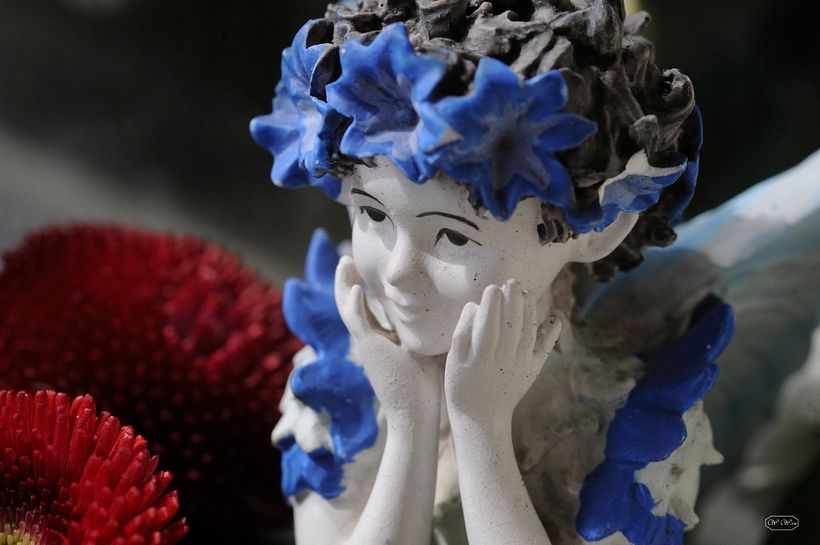 Macroaufnahme - Flower Fairy nach Cicely Mary Barker