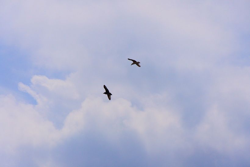 Eastbourne's sky, 2018