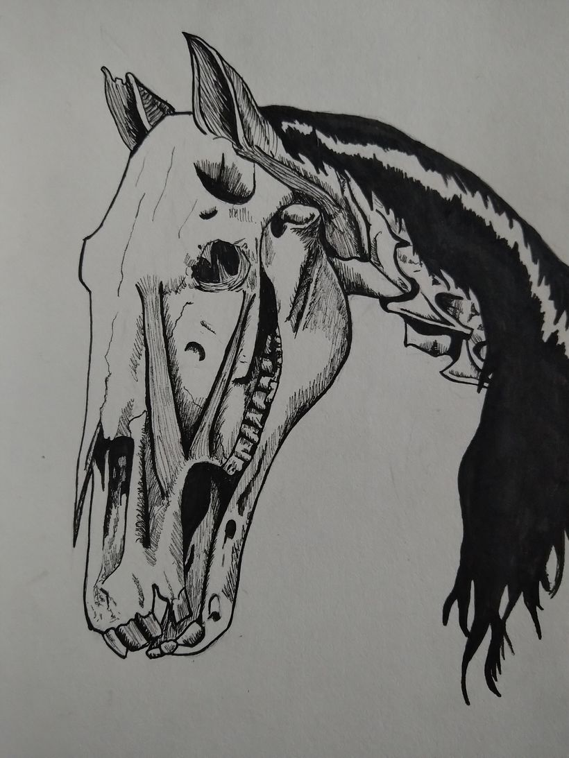 Equus caballus - demon style