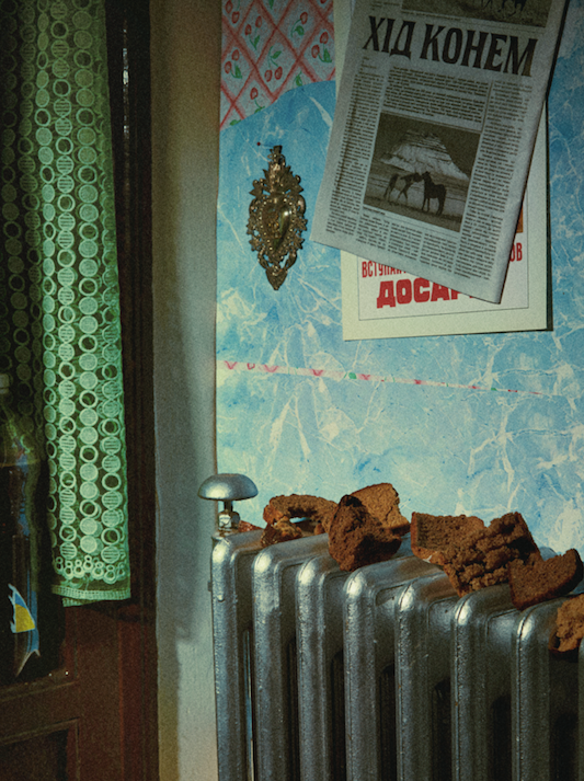 Every radiator at the Khruschyovka was colonized by ends and crusts of dark bread.