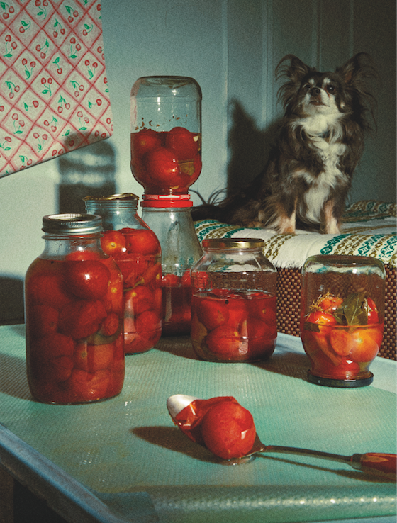 Occasionally Sergei would ask me to translate rap songs by 50 Cent and a tomato jar would explode.