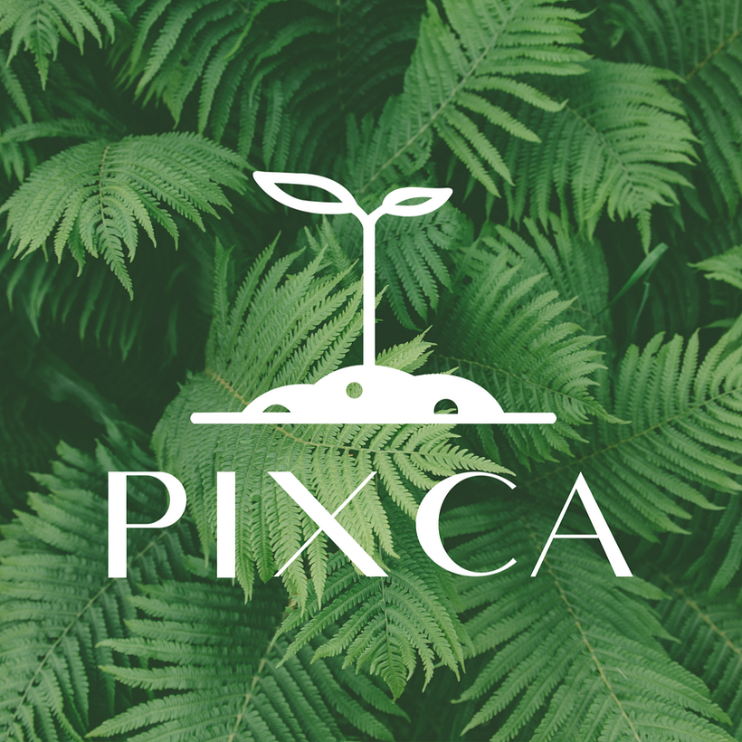 PIXCA Liquid Compost 3