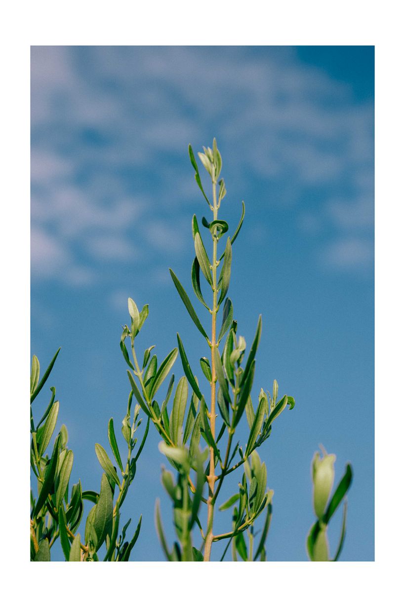 My project in Lifestyle and Travel Photography course 8