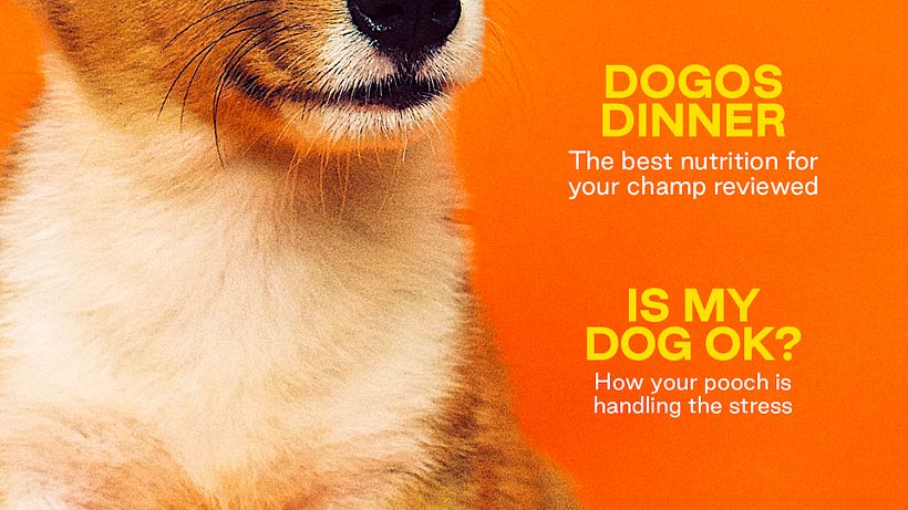 Create a visual hierarchy with large and smaller fonts