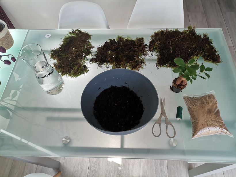 Meu projeto do curso: Kokedama: crie vasos naturais de musgo 3