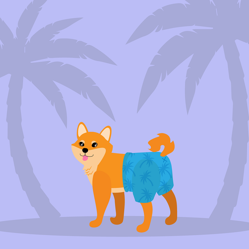 Dogs with shorts 4