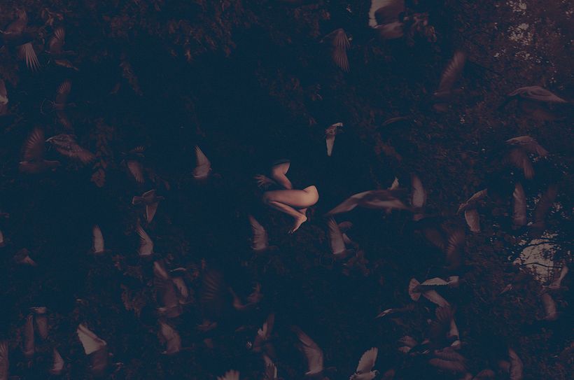 Abris de nuit 16