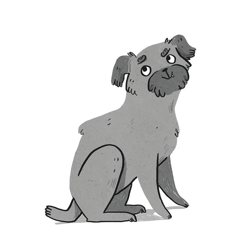 What's that in dog years? 6