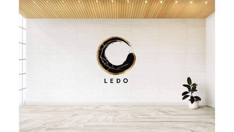 LEDO 3