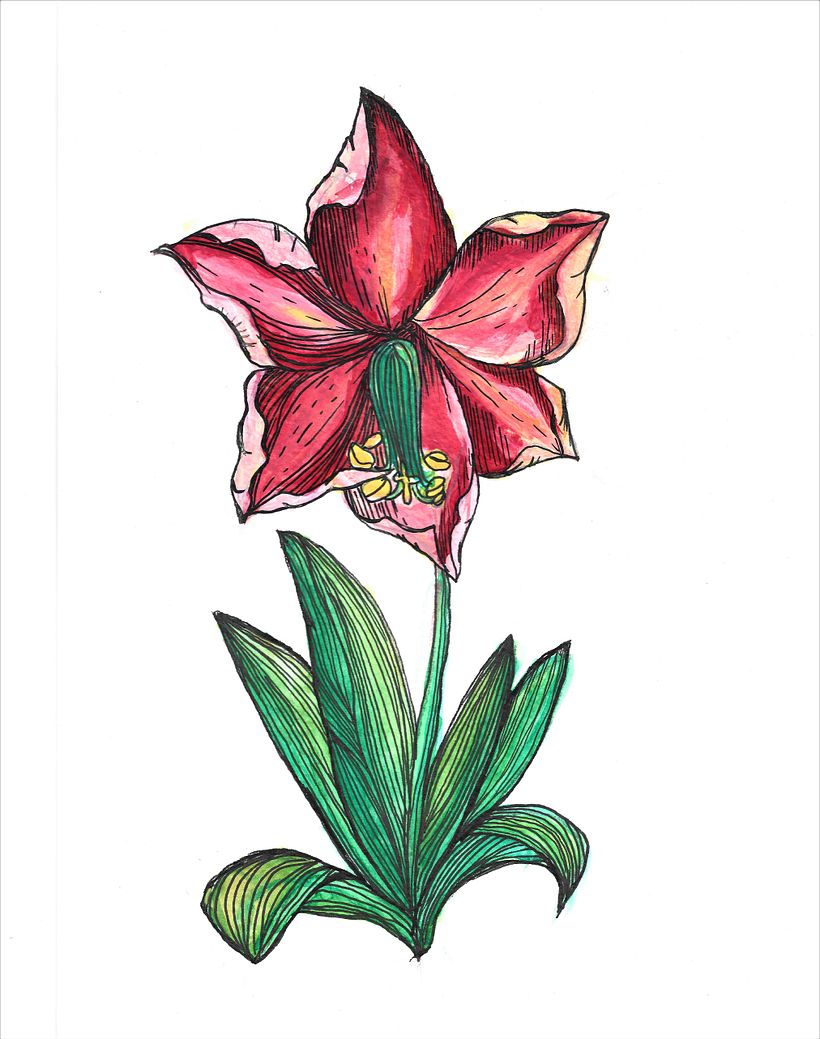 flowers -watercolor 2