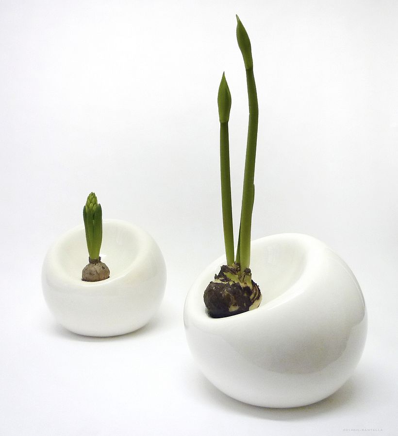 Bulb planter 1