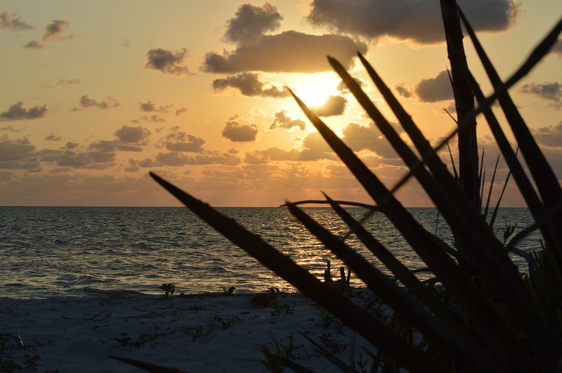 Isla Arena, Campeche 3