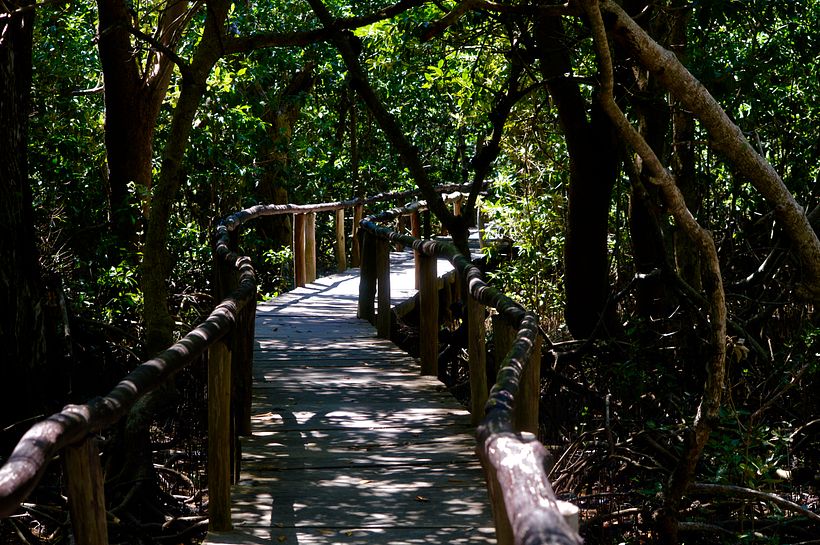 Isla Arena, Campeche 3