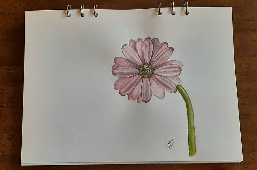 Trabajo final curso.