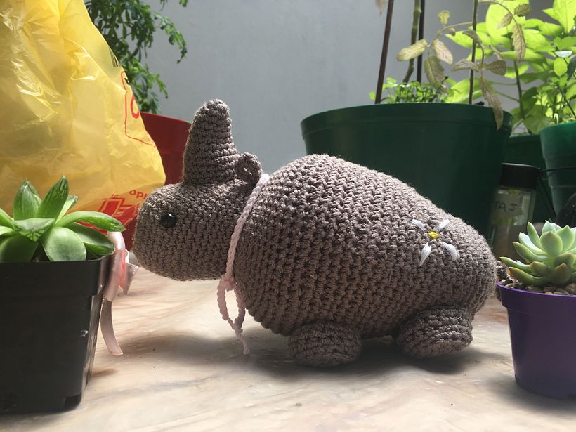 Mi Proyecto del curso: Diseño y creación de amigurumis 1