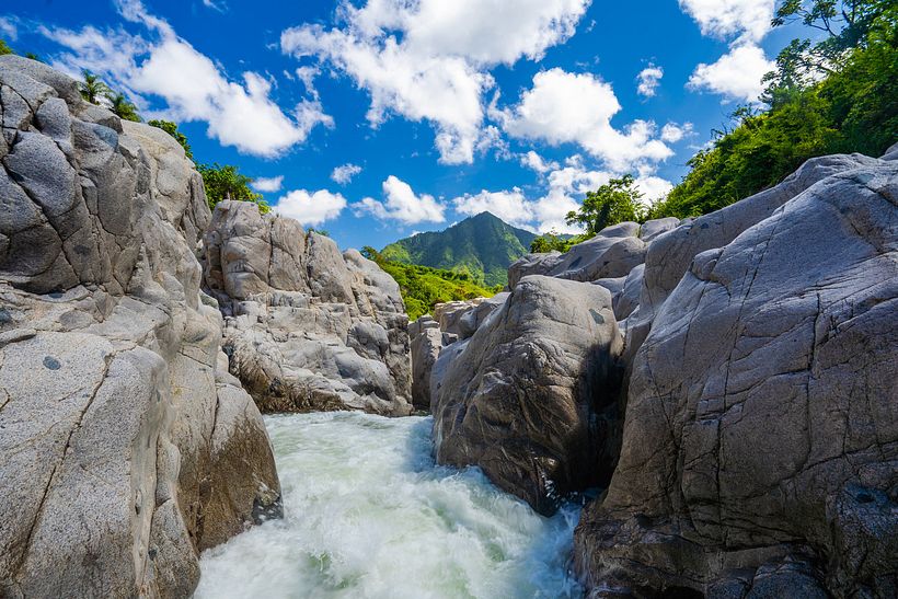 Mi Proyecto del curso: Paisajes naturales en acuarela 5