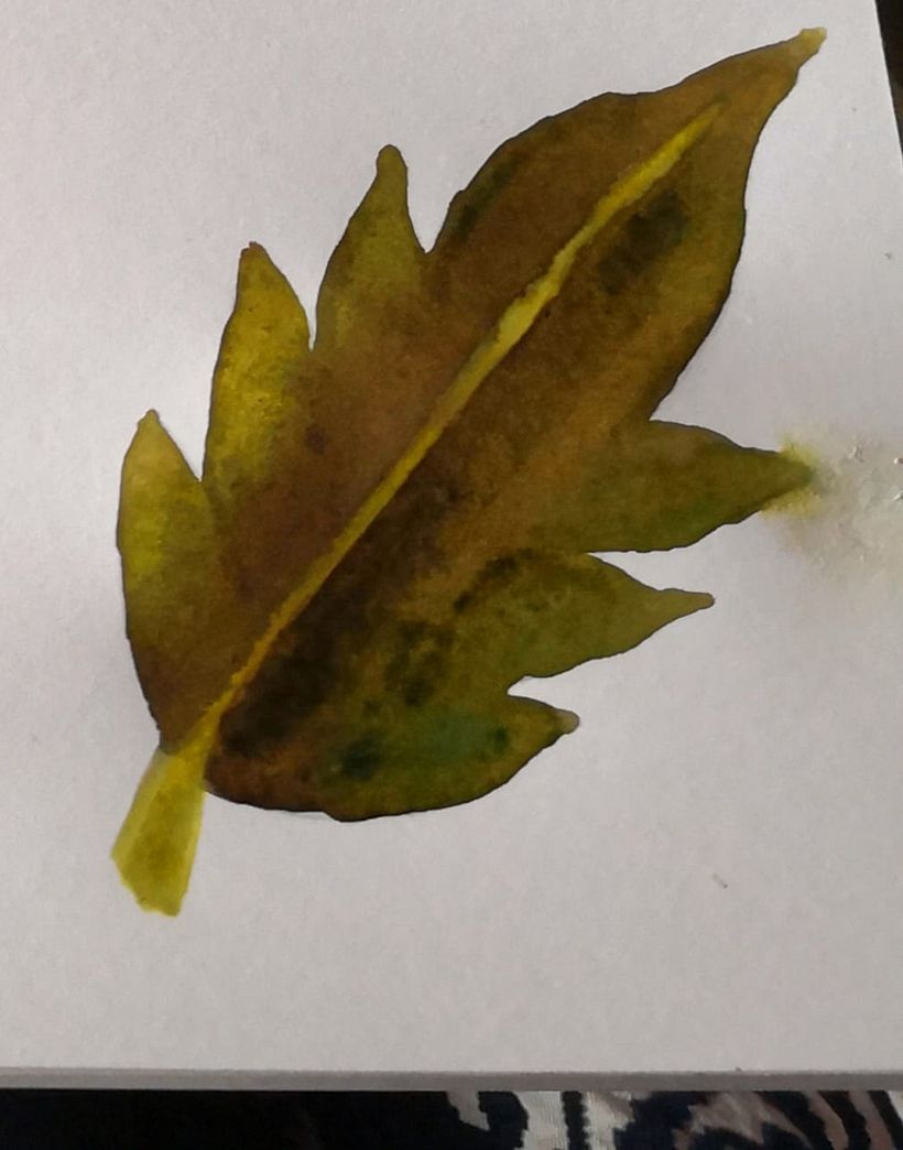 Mi Proyecto del curso: Creación de paletas de color con acuarela 5