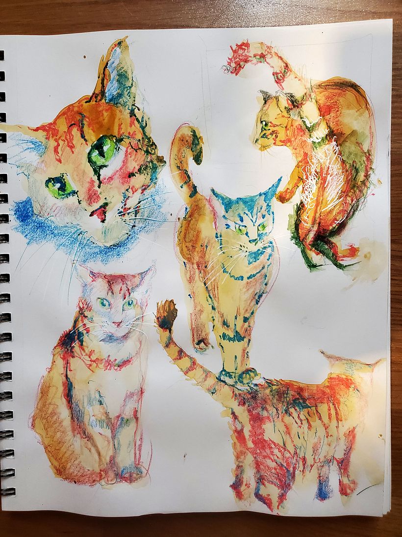Drawing from Photographs Assignment 1