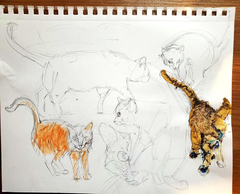 First drawings