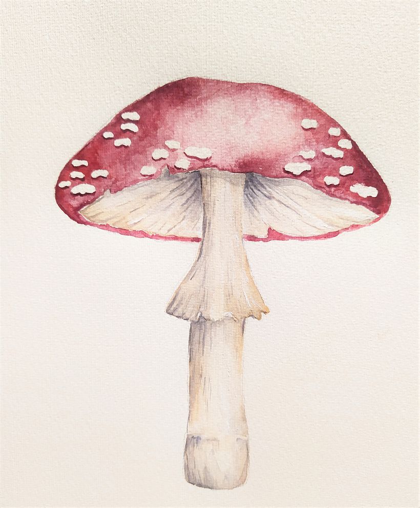My project in Naturalist Illustrations with Watercolors: Drawing and Composition course 3