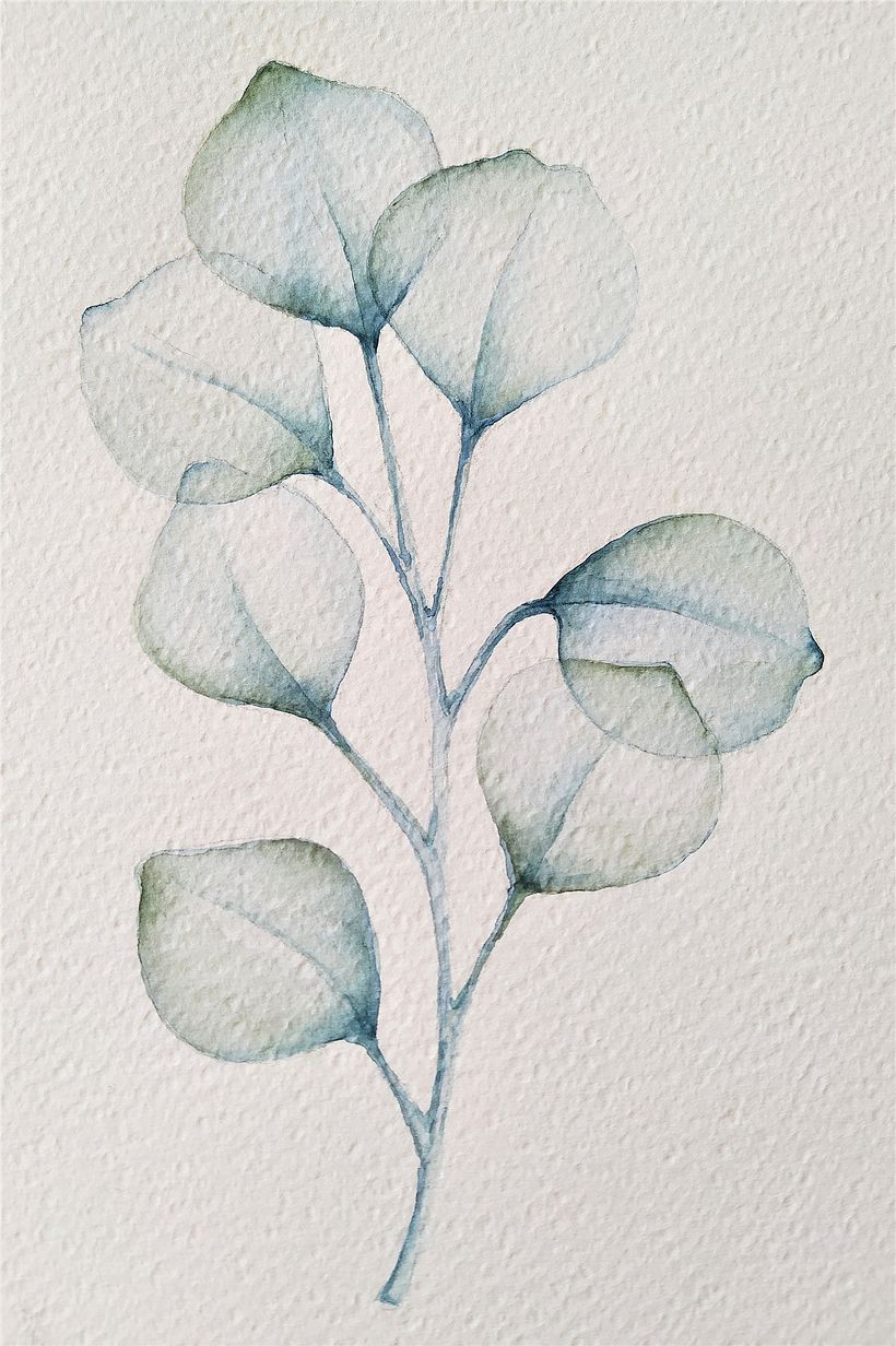 My project in Naturalist Illustrations with Watercolors: Drawing and Composition course 1