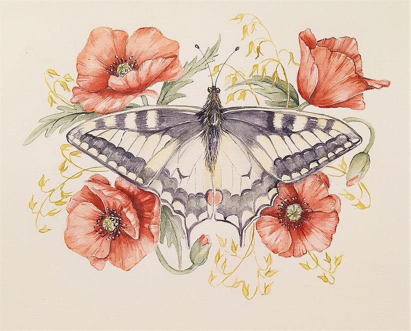 My project in Naturalist Illustrations with Watercolors: Drawing and Composition course 5