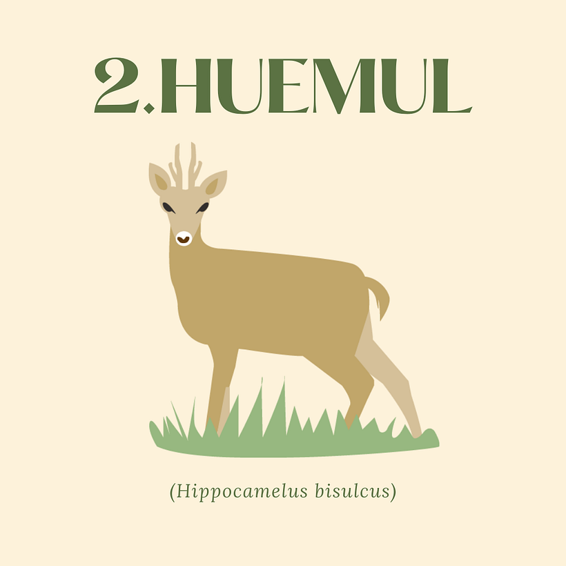 Fauna patagónica 2