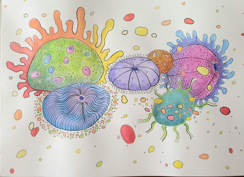 Abstracting the Urchin 1