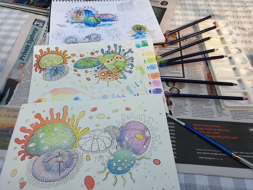 Abstracting the Urchin 2