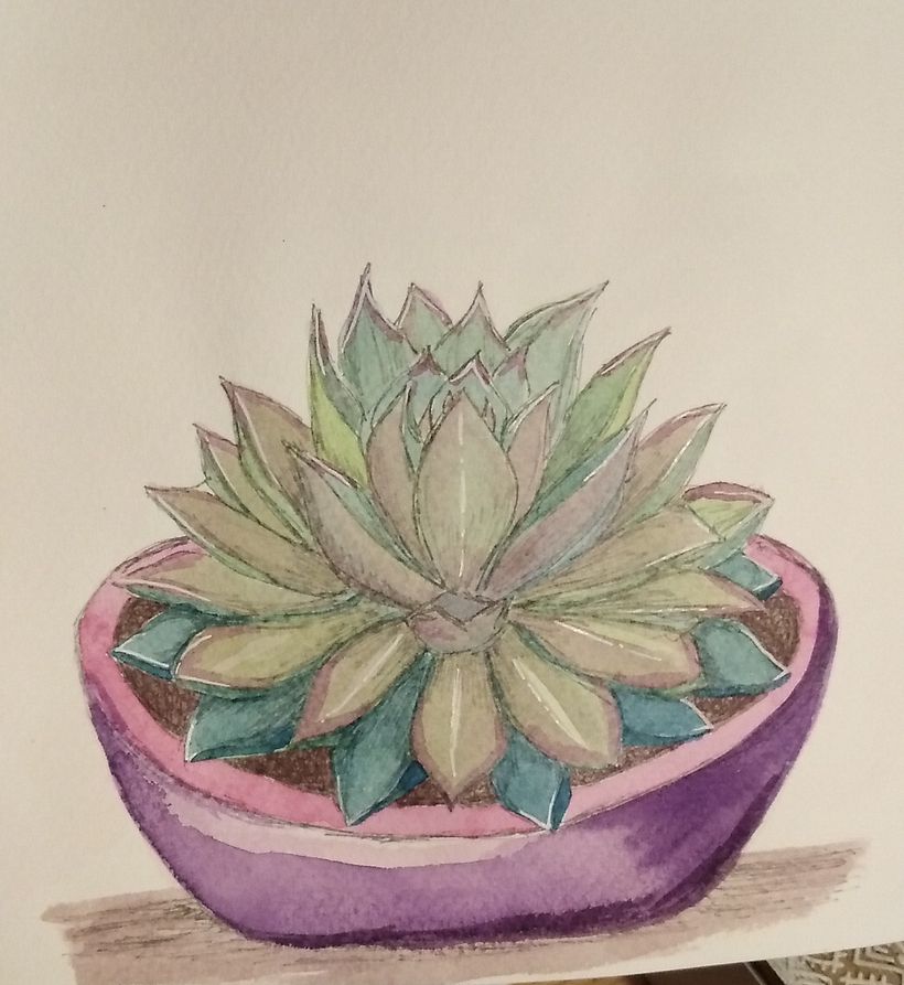 Succulentlove part 2 1