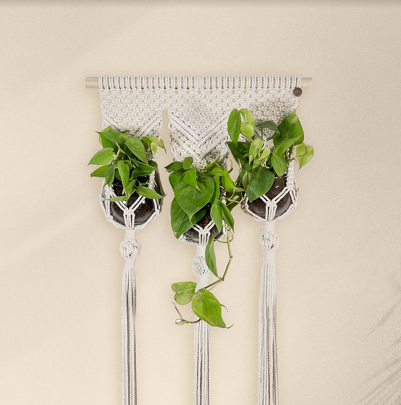 Macetas colgantes tejidas con macramé. Ancestral. 