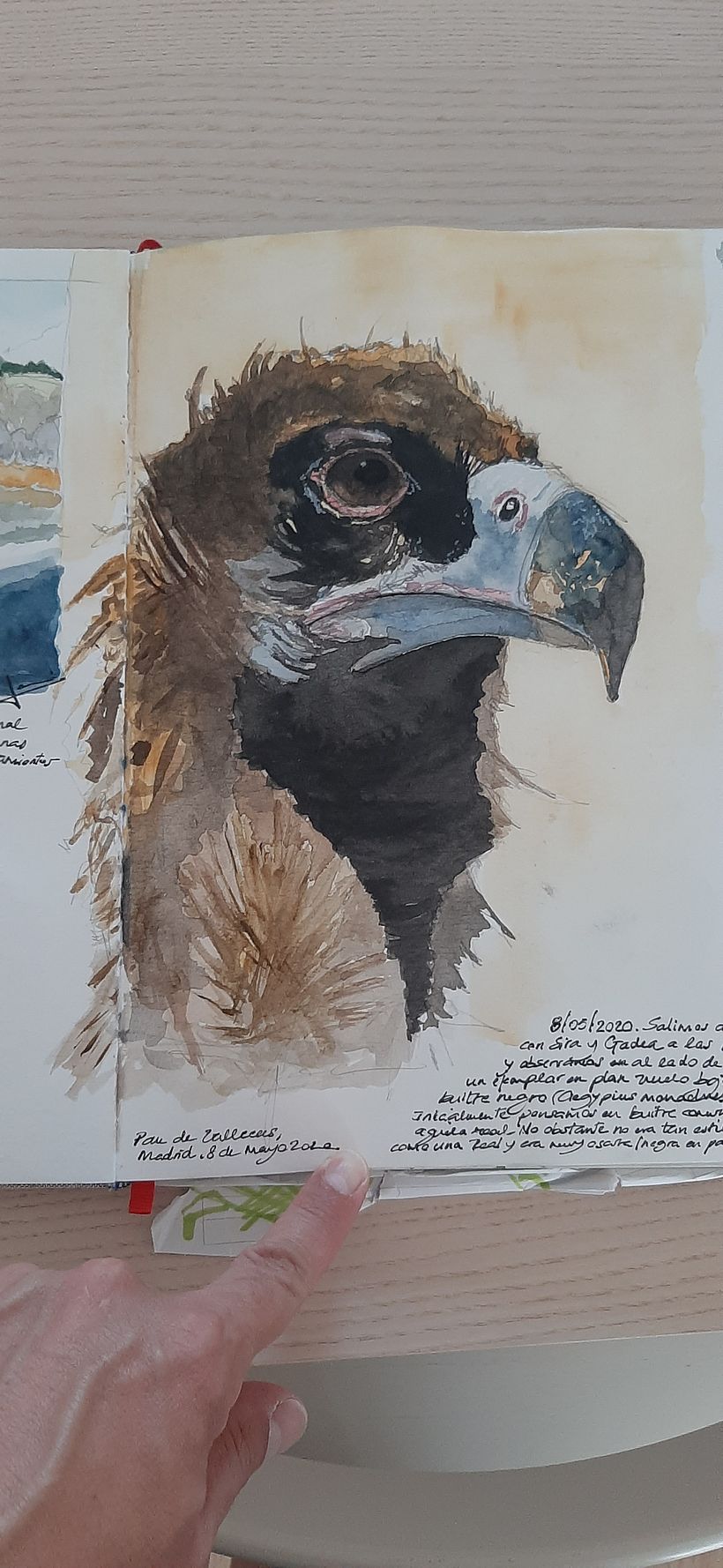 Cuaderno de Aves 7