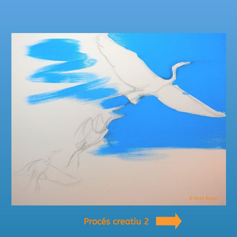 Volar en llibertat 3