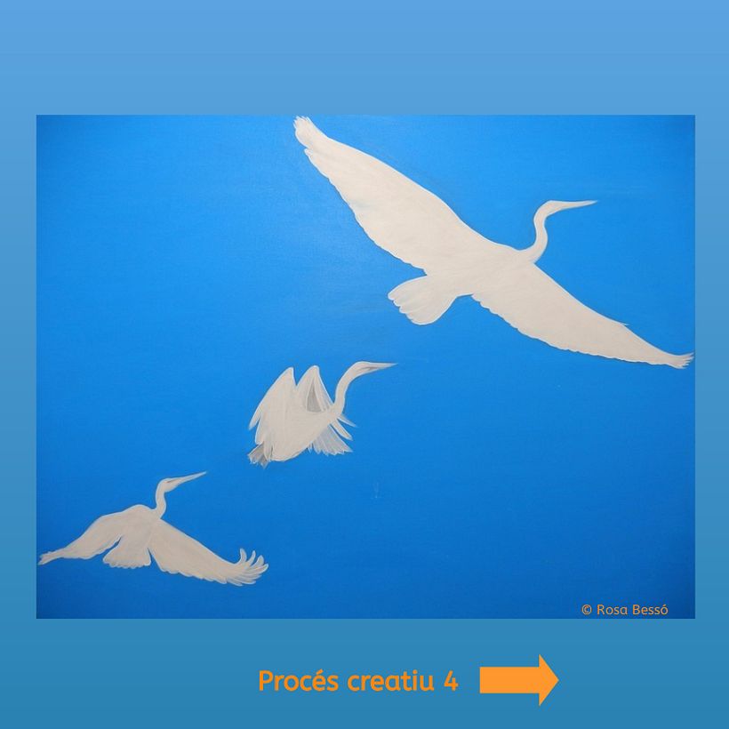 Volar en llibertat 5