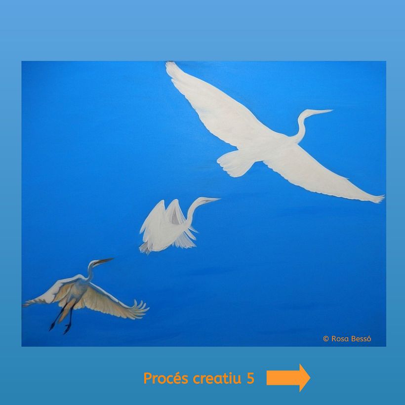 Volar en llibertat 6