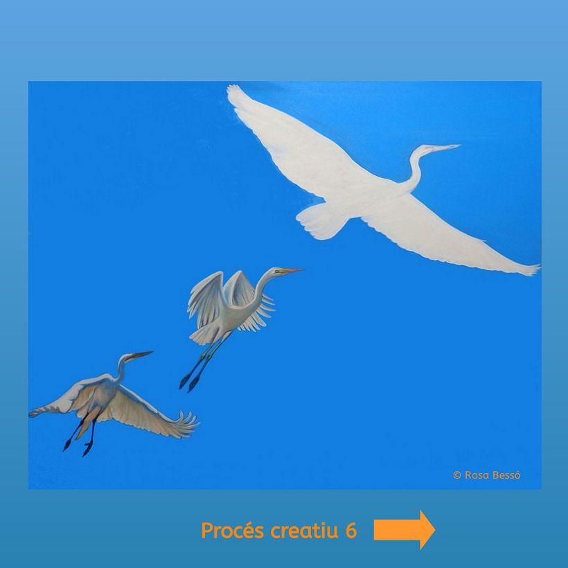 Volar en llibertat 7