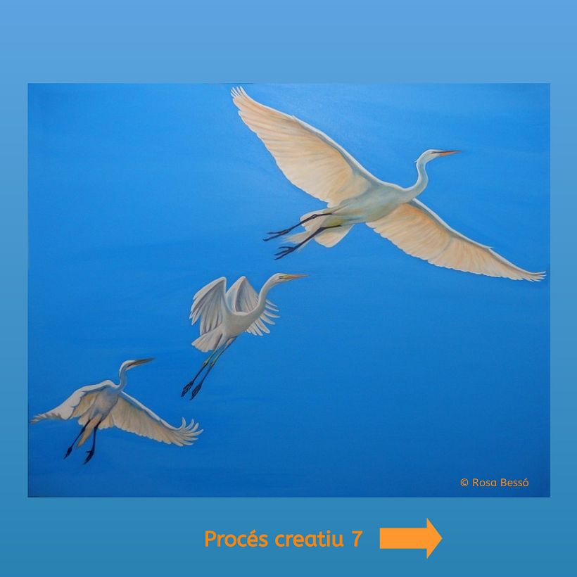 Volar en llibertat 8