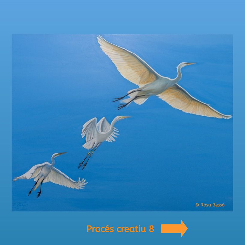 Volar en llibertat 9