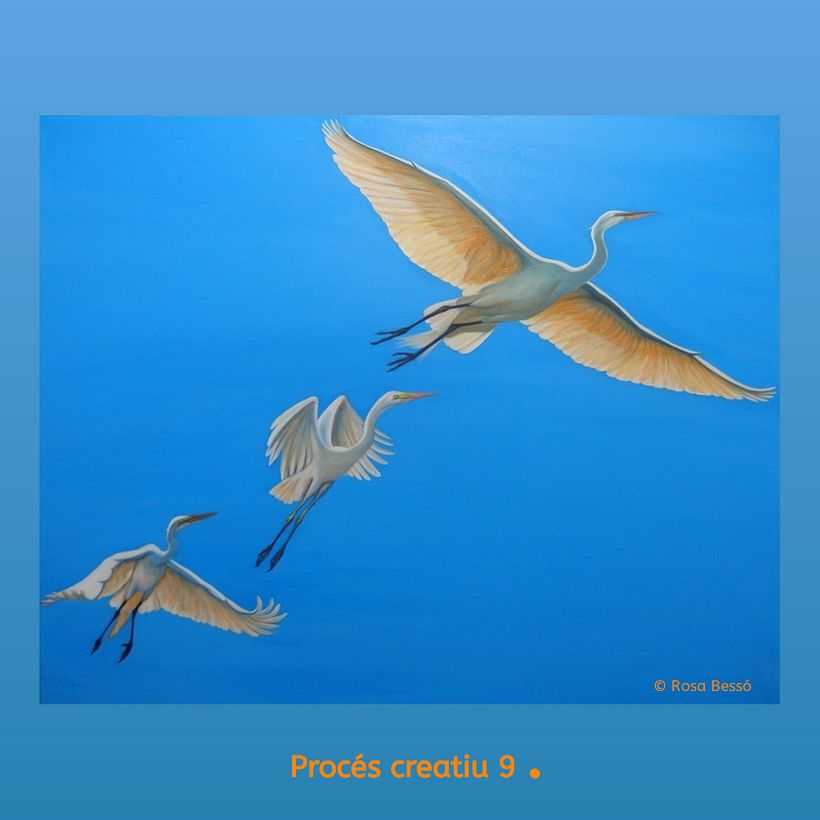 Volar en llibertat 10