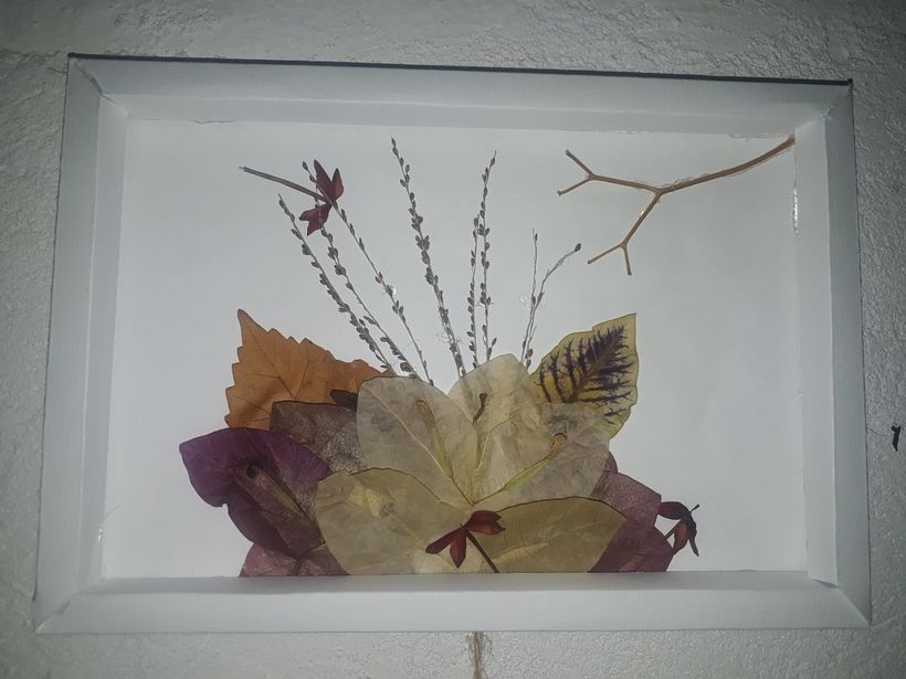 Mi Proyecto del curso: Técnicas básicas de prensado botánico 3